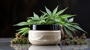 Discover Doobieshop DC's Exclusive Selection