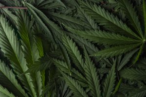 Dispensary in Washington DC